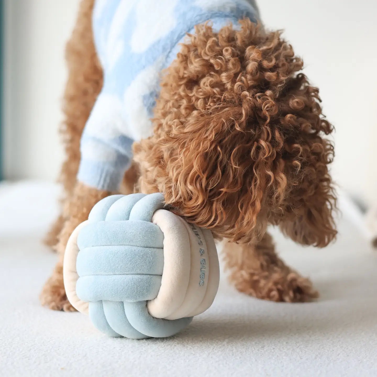 Pups & Bubs - Snuffel Knoop