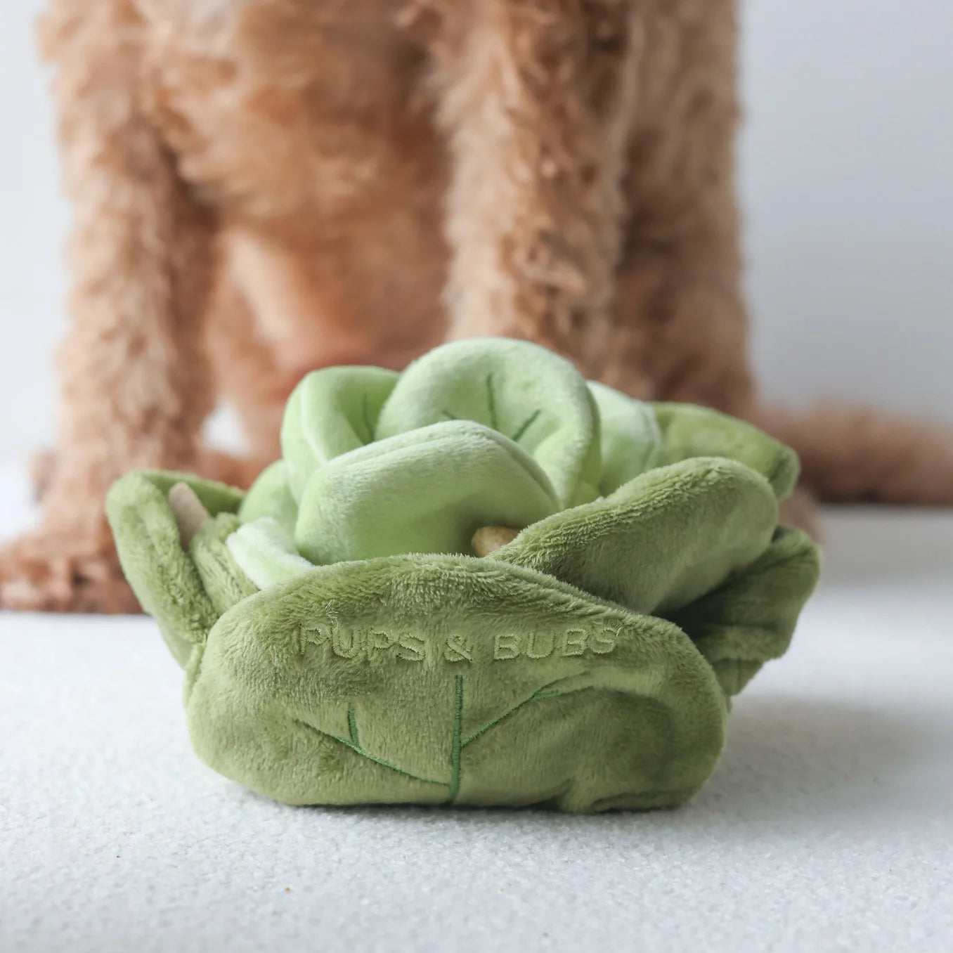 Pups & Bubs - Snuffel Cabbage