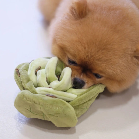 Pups & Bubs - Snuffel Cabbage