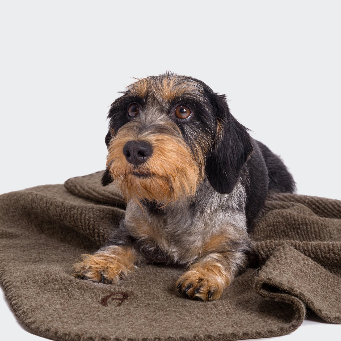 Cloud7 - Blanket Mohair Truffle