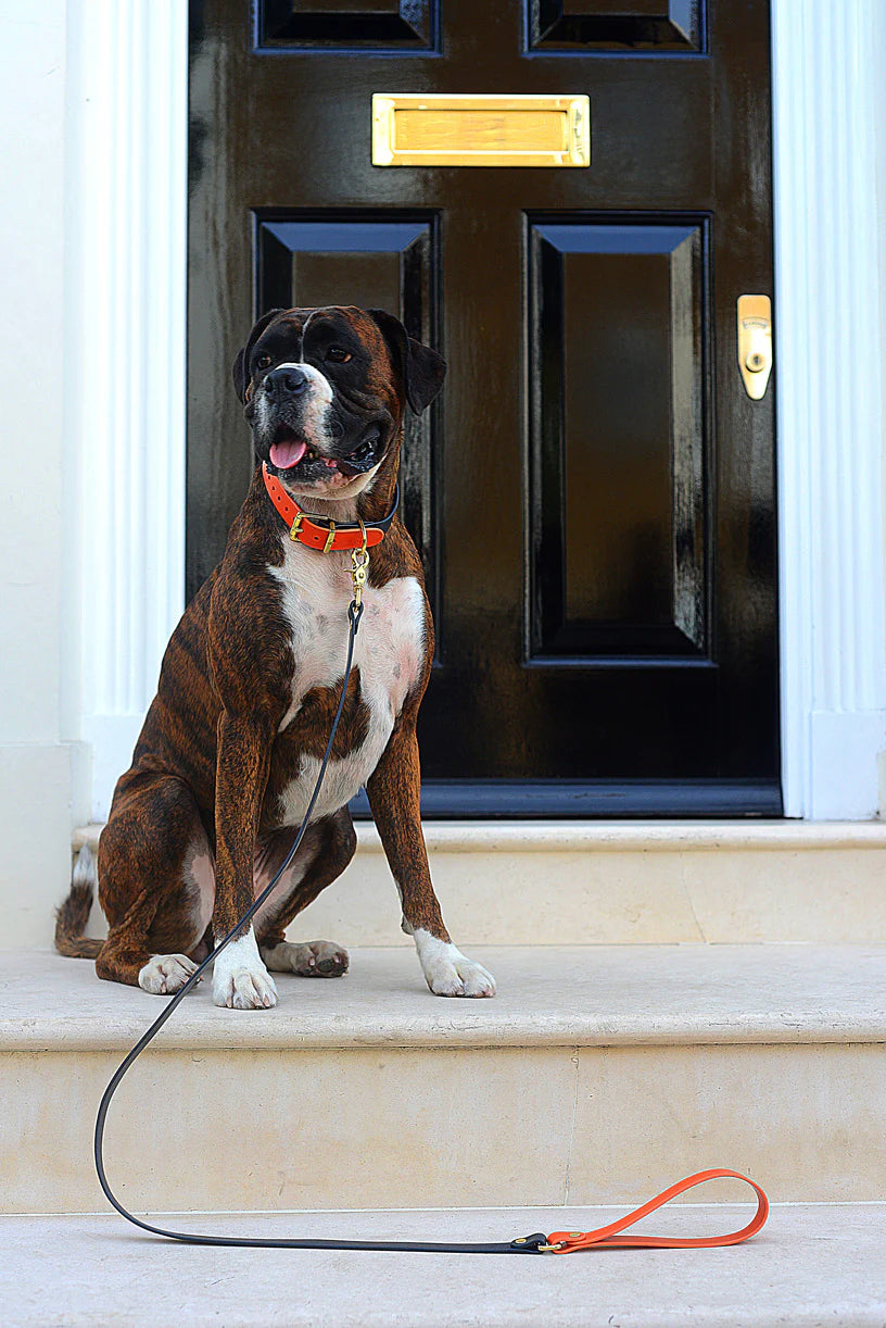 Rag & Paw - Halsband