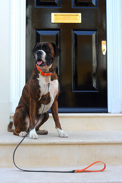Rag & Paw - Halsband