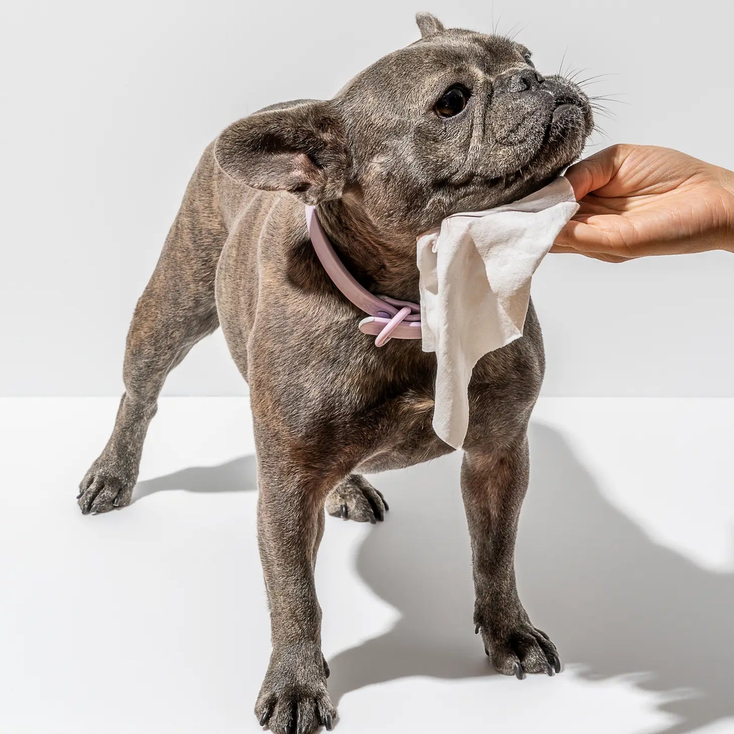 Wild One - Grooming Wipes