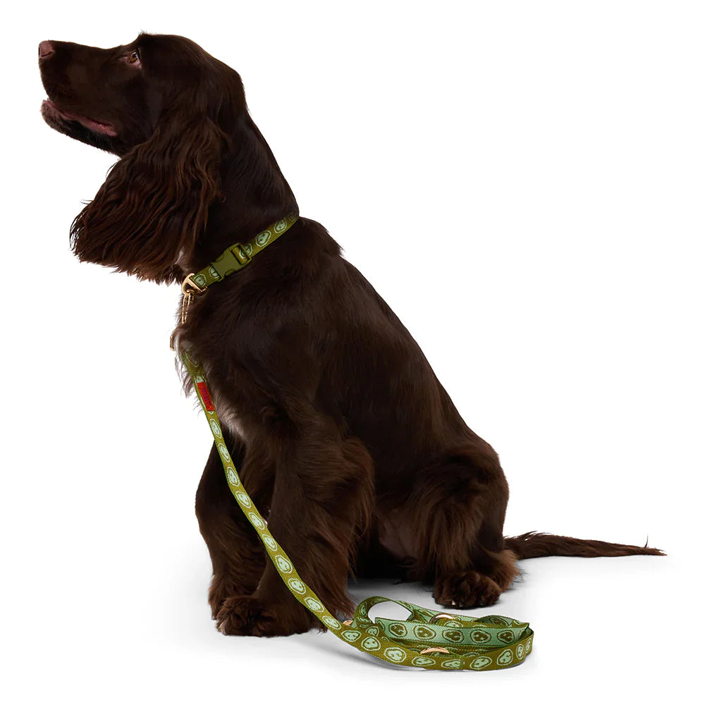 Furmey - Collar